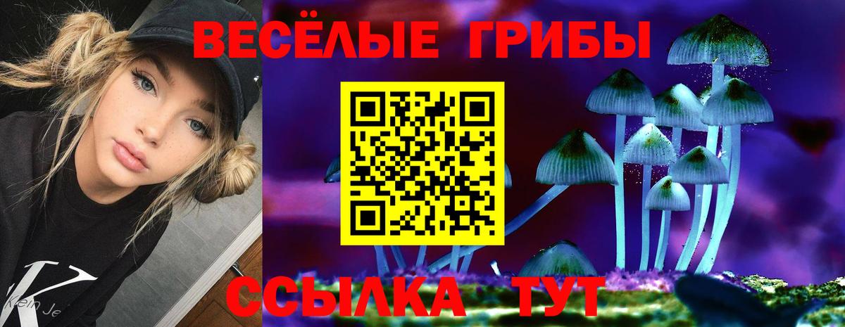 Галлюциногенные грибы прущие грибы Белореченск